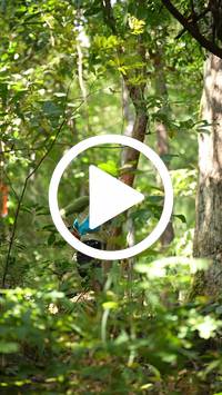 BIB:  <button type="button" onclick="openModal(27630553)" class="btn btn-primary btn-sm float-right" data-toggle="modal" data-target=".modal-high-quality">
                <i class="fa fa-download"></i> Download
                </button>